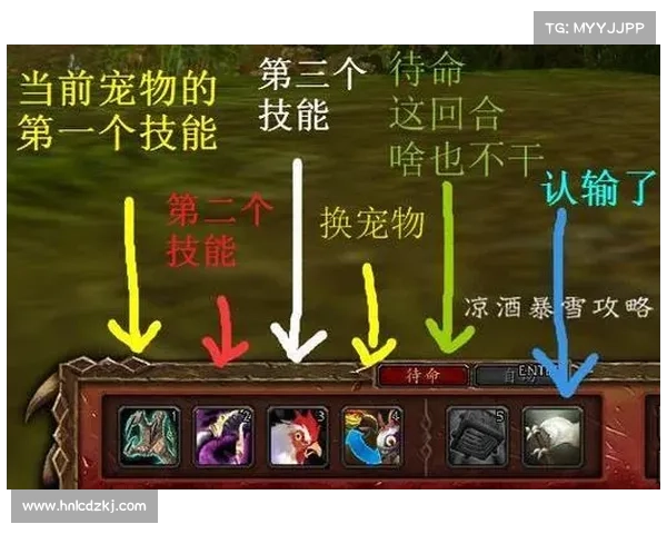 魔兽世界单机版：宠物技能重塑，掌握战斗的关键